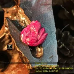 Hồ ly Ruby Nam Phi dáng nữ hoàng - Hình ảnh 3