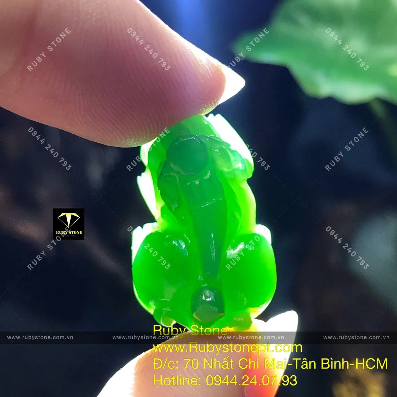 Tỳ hưu ngọc bích Canada Tỳ hưu ngọc bích Canada - Ảnh 2