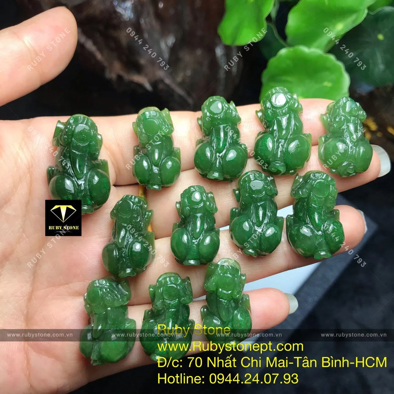 Tỳ hưu ngọc bích Canada Tỳ hưu ngọc bích Canada - Ảnh 3