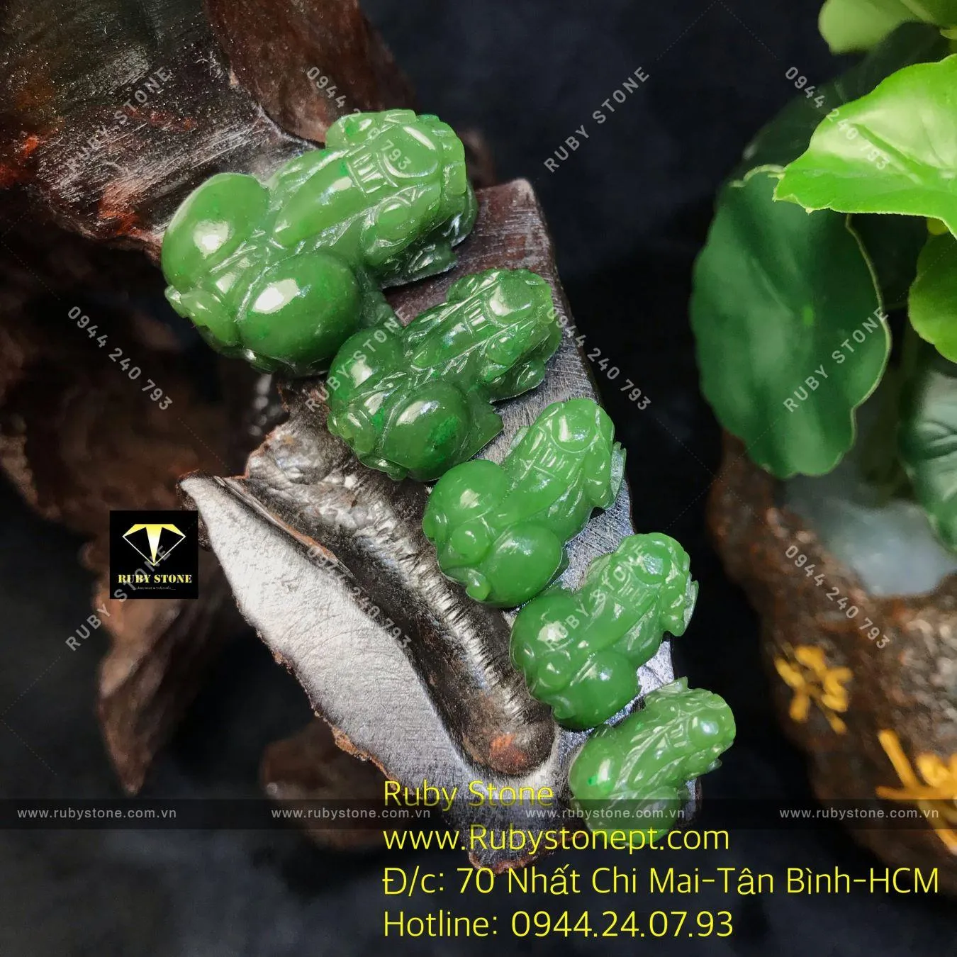 Tỳ hưu ngọc bích Canada Tỳ hưu ngọc bích Canada - Ảnh 4