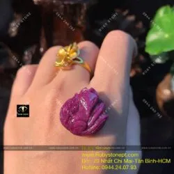 Hồ ly Ruby Nam Phi dáng nữ hoàng - Hình ảnh 5