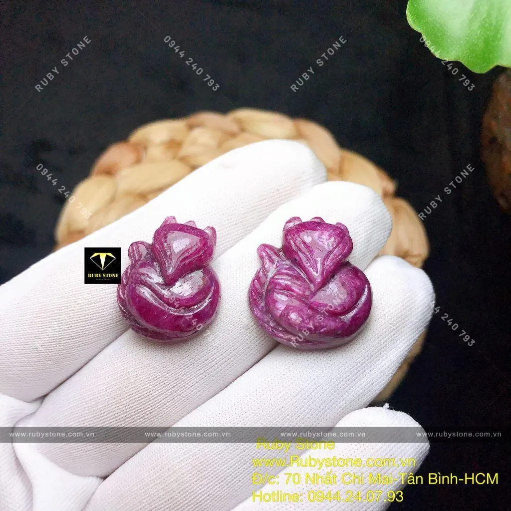 Hồ ly Ruby Nam Phi Hồ ly Ruby Nam Phi - Ảnh 4