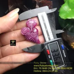 Hồ ly ruby Ruby Nam Phi - Ảnh 5