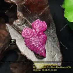 Hồ ly ruby Ruby Nam Phi - Ảnh 7