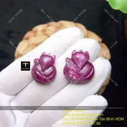 Hồ ly Ruby Nam Phi Hồ ly Ruby Nam Phi