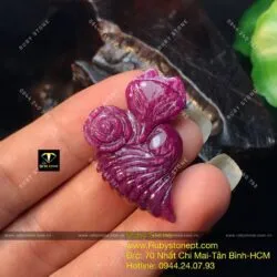 Hồ ly ruby Ruby Nam Phi - Ảnh 4