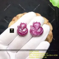 Hồ ly Ruby Nam Phi Hồ ly Ruby Nam Phi