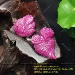 Hồ ly ruby Ruby Nam Phi - Ảnh 2