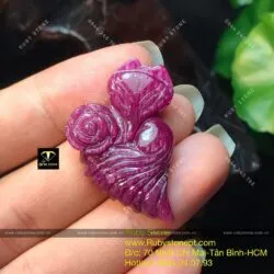 Hồ ly ruby Ruby Nam Phi