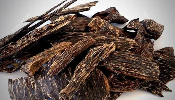 Trầm hương là gì? Công dụng thực sự của trầm hương