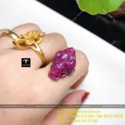 Thiềm thừ Ruby Nam Phi
