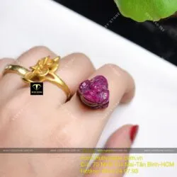 Thiềm thừ Ruby Nam Phi - Hình ảnh 4