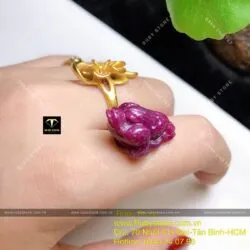 Thiềm thừ Ruby Nam Phi - Hình ảnh 2