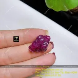 Thiềm thừ Ruby Nam Phi - Hình ảnh 3