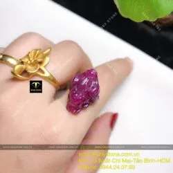 Thiềm thừ Ruby Nam Phi - Hình ảnh 6