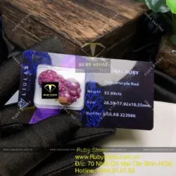 Tỳ hưu Ruby Nam Phi VIP - Ảnh 4