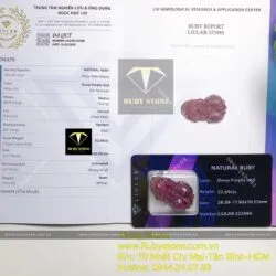 Tỳ hưu Ruby Nam Phi VIP - Ảnh 2