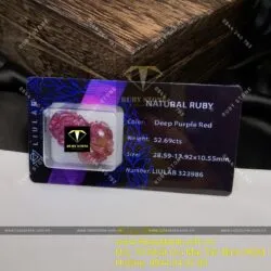 Tỳ hưu Ruby Nam Phi VIP - Ảnh 5