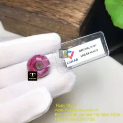 Charm mài giác Ruby Nam Phi