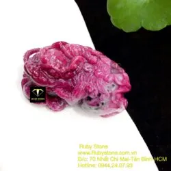Tỳ hưu Ruby Nam Phi, kích thước 52x47mm - Ảnh 14