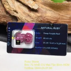 Tỳ hưu Ruby Nam Phi chạm tay - Ảnh 5