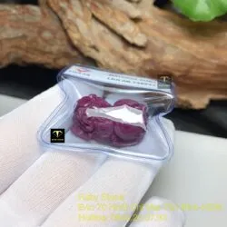 Tỳ hưu Ruby Nam Phi đỏ - Ảnh 4