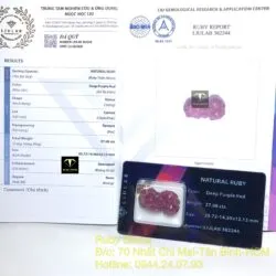 Tỳ hưu Ruby Nam Phi chạm tay - Ảnh 2