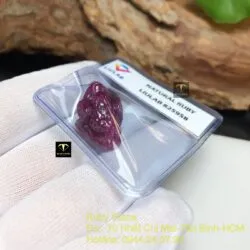 Thiềm thừ (Cóc ba chân) Ruby Nam Phi - Ảnh 3