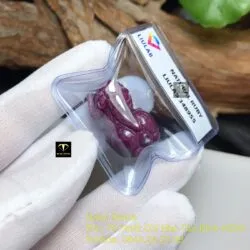 Tỳ hưu Ruby Nam Phi đỏ - Ảnh 3
