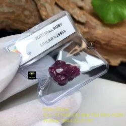 Thiềm thừ (Cóc ba chân) Ruby Nam Phi - Ảnh 4