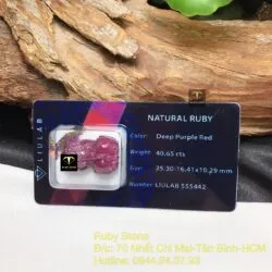 Tỳ hưu Ruby Nam Phi chạm tay - Ảnh 6