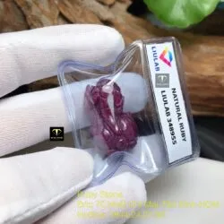 Tỳ hưu Ruby Nam Phi đỏ