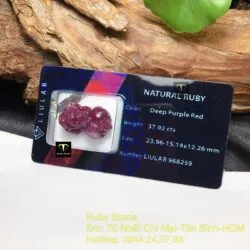 Tỳ hưu Ruby Nam Phi - Ảnh 3