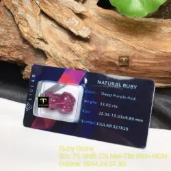Tỳ hưu Ruby Nam Phi chạm tay tinh xảo - Ảnh 5