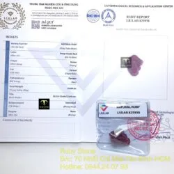 Thiềm thừ (Cóc ba chân) Ruby Nam Phi - Ảnh 2