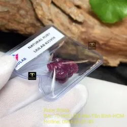 Thiềm thừ (Cóc ba chân) Ruby Nam Phi