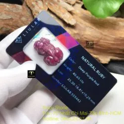 Tỳ hưu Ruby Nam Phi chạm tay - Ảnh 3