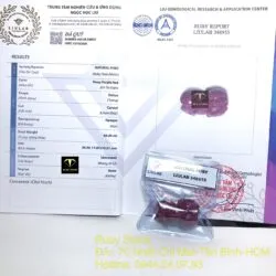 Tỳ hưu Ruby Nam Phi đỏ - Ảnh 2