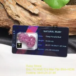 Tỳ hưu Ruby Nam Phi chạm tay tinh xảo - Ảnh 6