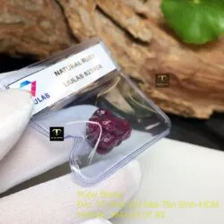 Thiềm thừ (Cóc ba chân) Ruby Nam Phi - Ảnh 5