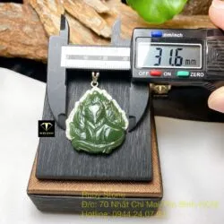 Hồ ly ngọc bích Canada xanh đậm bọc bạc - Ảnh 6