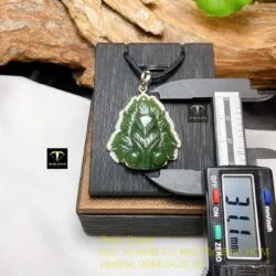 Hồ ly ngọc bích Canada xanh đậm bọc bạc - Ảnh 5