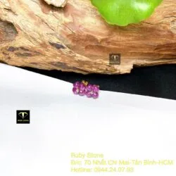 Khuyên tai cỏ bốn cánh Ruby Nam Phi, vàng 18k - Ảnh 4