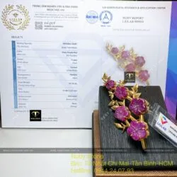 Cài áo hoa mai Ruby Nam Phi, vàng 18k - Ảnh 6