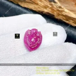 Nhện Ruby Nam Phi chạm tay, KT 20mm