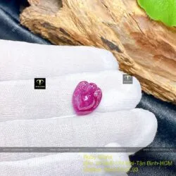 Nhện Ruby Nam Phi chạm tay, KT 20mm - Hình ảnh 6