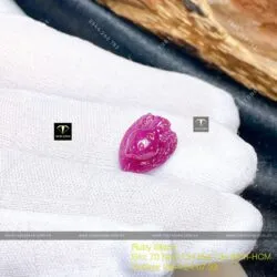 Nhện Ruby Nam Phi chạm tay, KT 20mm - Hình ảnh 5
