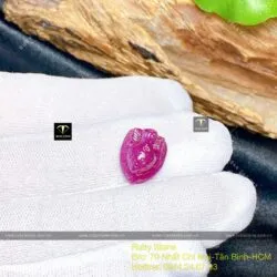 Nhện Ruby Nam Phi chạm tay, KT 20mm - Hình ảnh 4