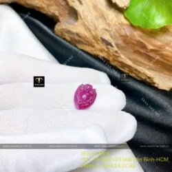 Nhện Ruby Nam Phi chạm tay, KT 20mm - Hình ảnh 3
