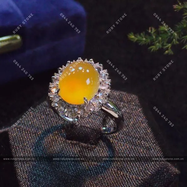 Hoàng Phỉ và những điều bạn cần biết!